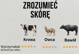 Skóra bawoła a skóra krowia - porównanie, właściwości